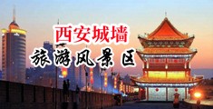 欧美特特黄操屄女人捆绑猖狂杀头在线中国陕西-西安城墙旅游风景区