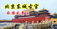 乌克兰女人屄中国北京-东城古宫旅游风景区